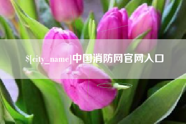 五指山中国消防网官网入口