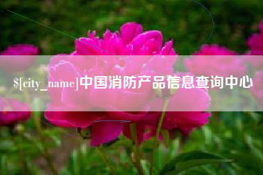 五指山中国消防产品信息查询中心