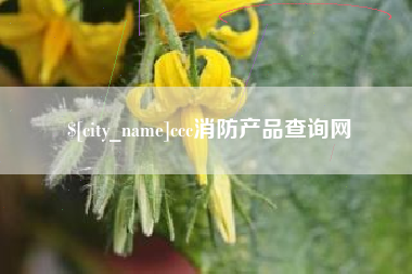 五指山ccc消防产品查询网