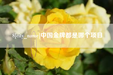 五指山中国金牌都是哪个项目