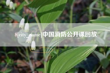 五指山中国消防公开课回放