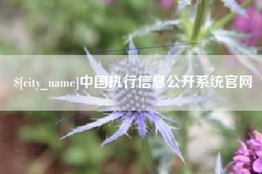 五指山中国执行信息公开系统官网