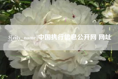 五指山中国执行信息公开网 网址