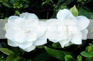 五指山中国的几块金牌2021