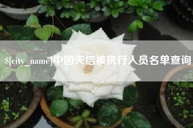 五指山中国失信被执行人员名单查询