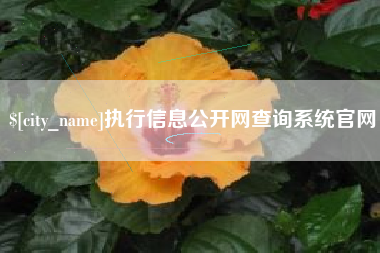 五指山执行信息公开网查询系统官网
