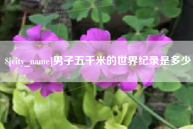 五指山男子五千米的世界纪录是多少