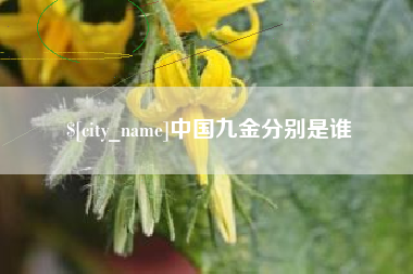 五指山中国九金分别是谁