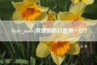 五指山我国消防日是哪一日？