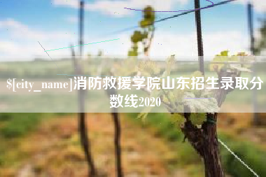 五指山消防救援学院山东招生录取分数线2020