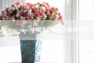 五指山中国失信执行人查询官网