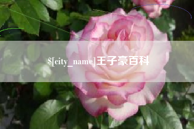 五指山王子豪百科