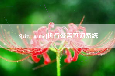 五指山执行公告查询系统