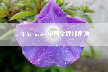 五指山中国金牌都是啥