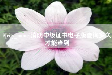 五指山消防中级证书电子版查询多久才能查到