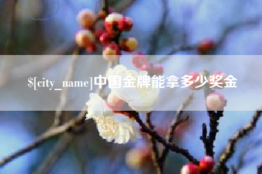 五指山中国金牌能拿多少奖金