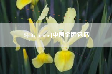 五指山中国金牌包括
