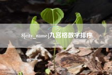 五指山九宫格数字排序