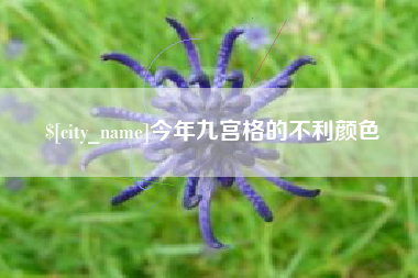 五指山今年九宫格的不利颜色