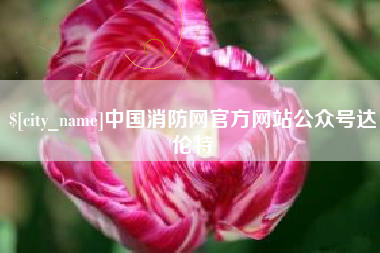 五指山中国消防网官方网站公众号达伦特