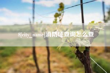 五指山消防证查询怎么查