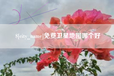 五指山免费卫星地图哪个好