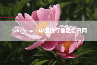 五指山1.中国执行信息公开网