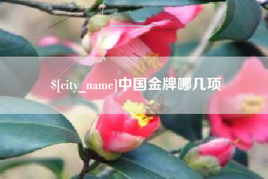 五指山中国金牌哪几项