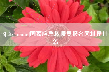 五指山国家应急救援员报名网址是什么