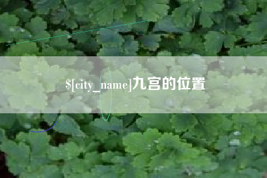 五指山九宫的位置