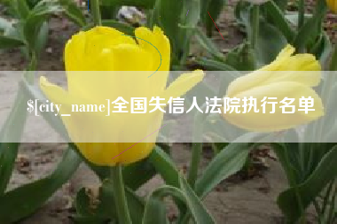 五指山全国失信人法院执行名单