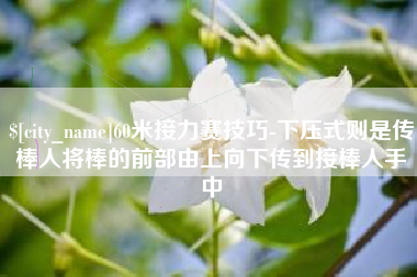 五指山60米接力赛技巧-下压式则是传棒人将棒的前部由上向下传到接棒人手中