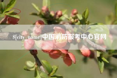 五指山中国消防报考中心官网