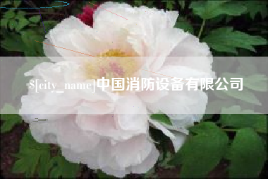 五指山中国消防设备有限公司