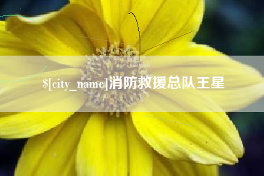 五指山消防救援总队王星