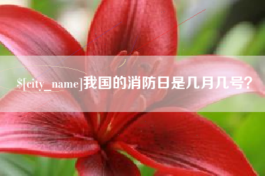 五指山我国的消防日是几月几号？