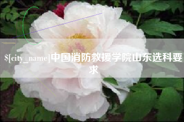 五指山中国消防救援学院山东选科要求