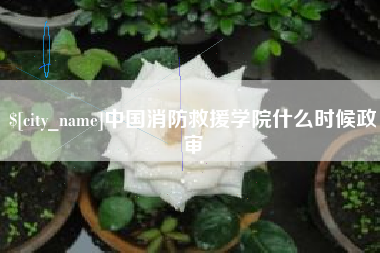 五指山中国消防救援学院什么时候政审