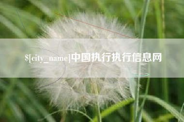 五指山中国执行执行信息网