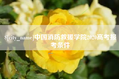五指山中国消防救援学院2020高考报考条件