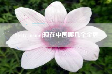 五指山现在中国哪几个金牌