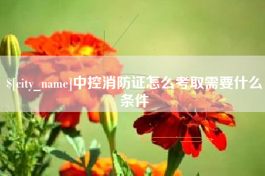 五指山中控消防证怎么考取需要什么条件