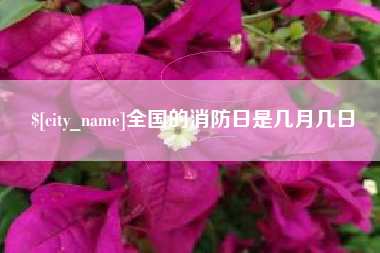 五指山全国的消防日是几月几日