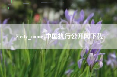 五指山中国执行公开网下载