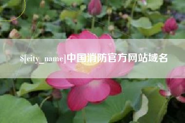 五指山中国消防官方网站域名