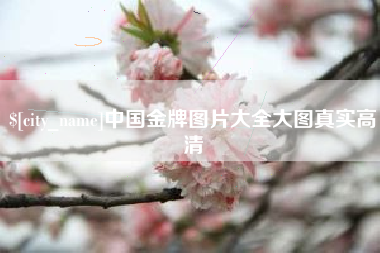 五指山中国金牌图片大全大图真实高清