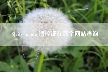 五指山消控证在哪个网站查询