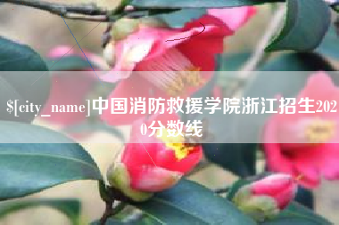 五指山中国消防救援学院浙江招生2020分数线