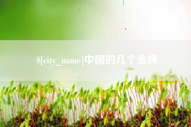 五指山中国的几个金牌