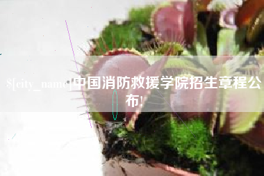 五指山中国消防救援学院招生章程公布!
